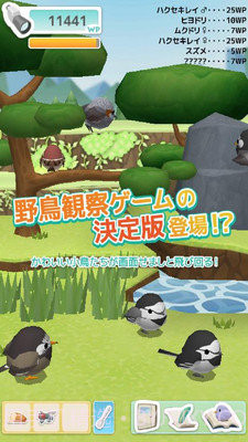 小鸟观察器截图1 小鸟观察器截图1