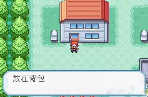 口袋妖怪火红截图1