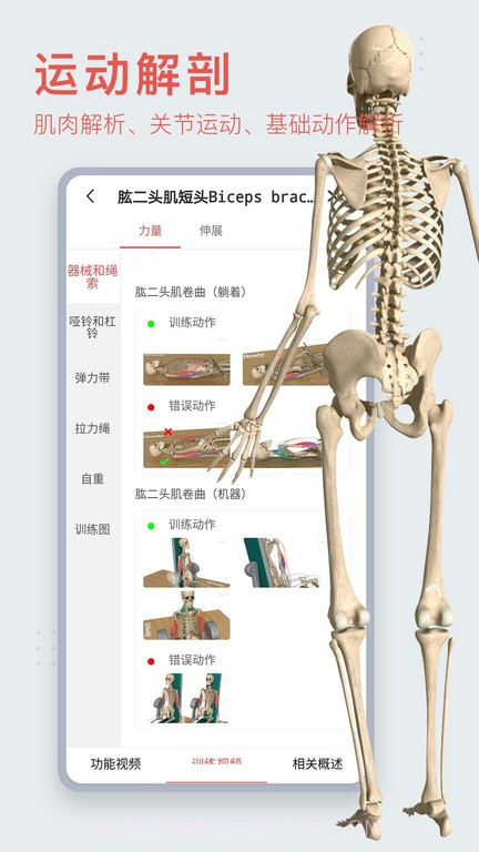 3d人体模型截图3 3d人体模型截图3