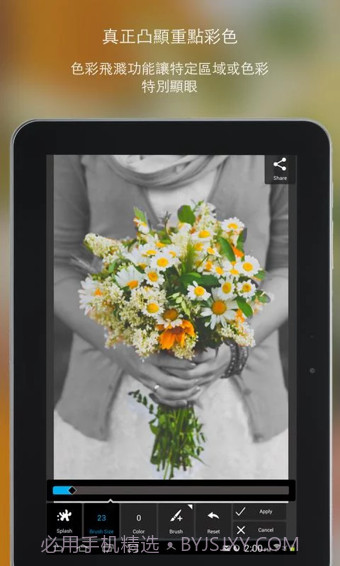 PixlrExpress最新版截图2 PixlrExpress最新版截图2