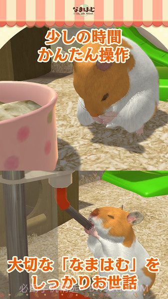 云仓鼠官网版截图3