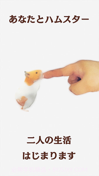 云仓鼠官网版截图1