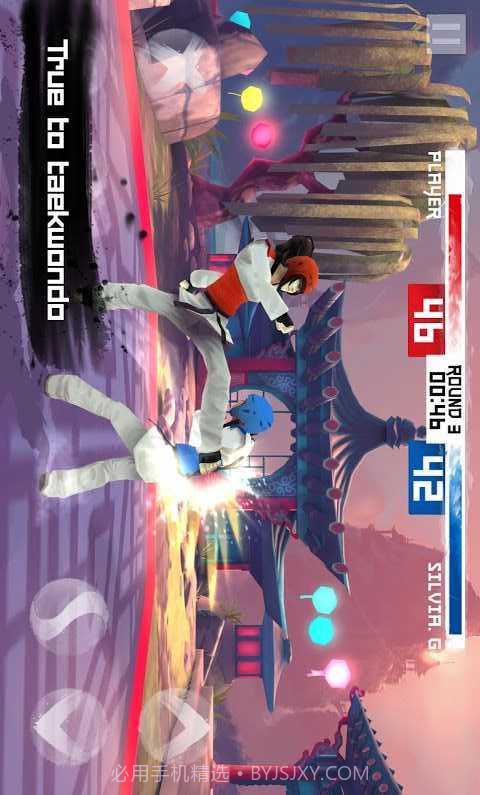 跆拳道截图3 跆拳道截图3