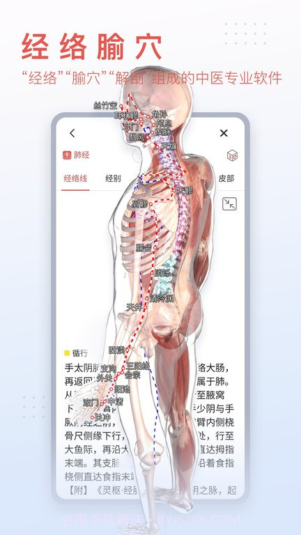 3d人体模型截图2 3d人体模型截图2