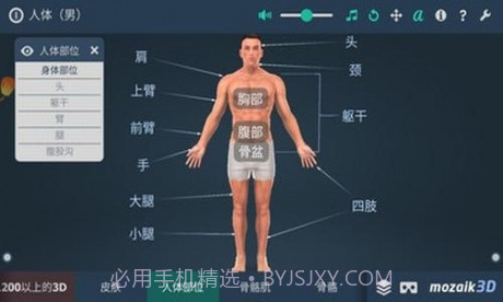 人体解剖3D模型截图2 人体解剖3D模型截图2