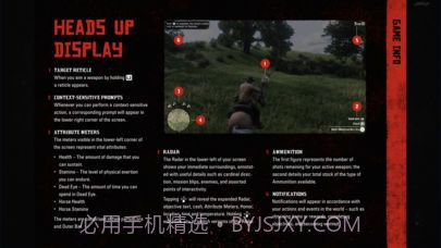 RDR2app截图2