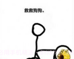 我的狗狗狗头肿了么截图2