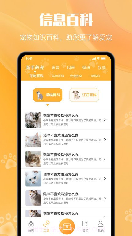 网喵截图3