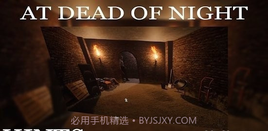 在夜深人静的夜幕下截图1
