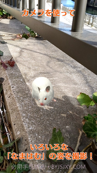 云仓鼠免费版截图4