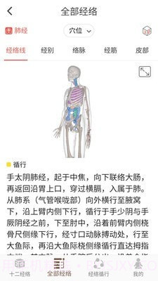 3D BODY(经络穴位3D)截图3 3D BODY(经络穴位3D)截图3