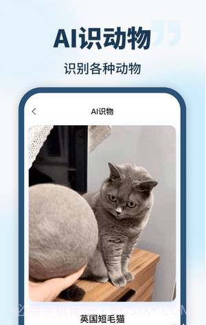 AI智能助手截图3 AI智能助手截图3