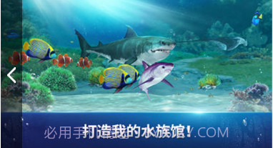 Fishing Strike截图1 Fishing Strike截图1