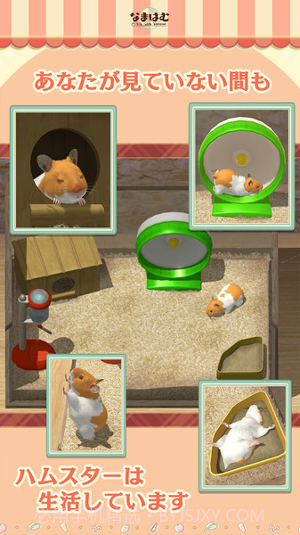 云仓鼠免费版截图2