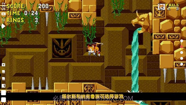 刺猬索尼克3d游戏截图3 刺猬索尼克3d游戏截图3