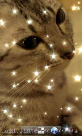 璀璨光芒动态壁纸截图3