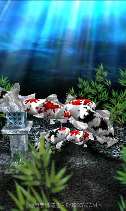 3d水族馆动态壁纸截图3 3d水族馆动态壁纸截图3