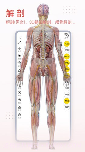 3Dbody艺用(3Dbody艺用三维人体模型)V8.4.41 安卓最新版截图3