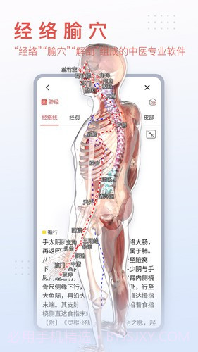 3Dbody艺用(3Dbody艺用三维人体模型)V8.4.41 安卓最新版截图2