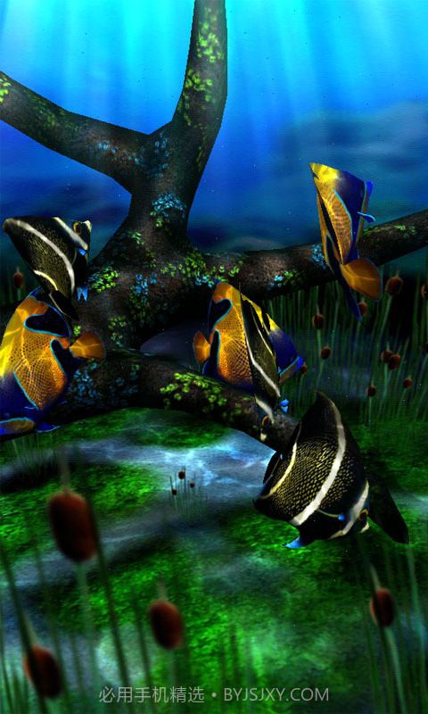 3d水族馆动态壁纸截图4 3d水族馆动态壁纸截图4