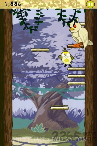 小鸟跳跳手机版截图3