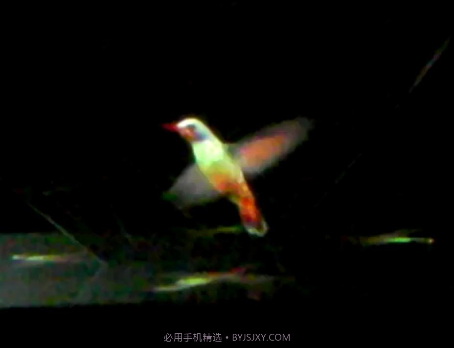 真三维全息投影仪截图4