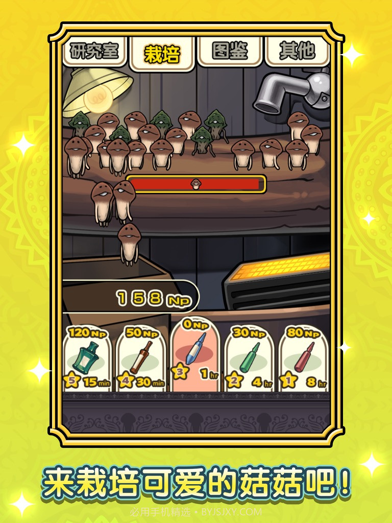 蘑菇花园官网版截图2