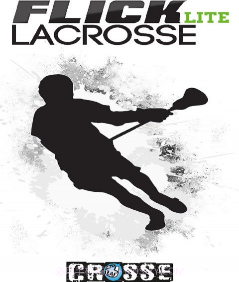 弗里克曲棍球免费版截图4