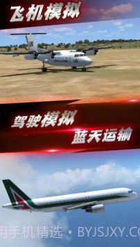 航班飞行模拟截图3