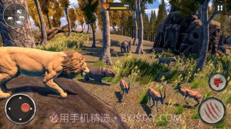 野生狮子RPG截图1 野生狮子RPG截图1