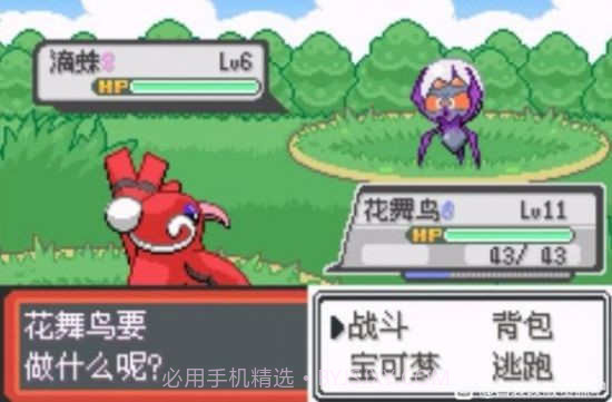 宝可梦极夜永昼截图1 宝可梦极夜永昼截图1