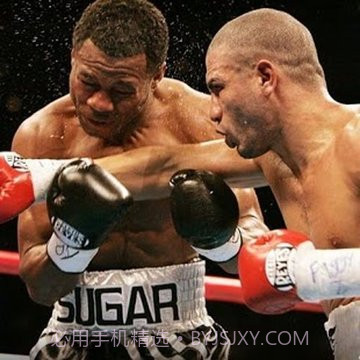 拳击WWE游戏截图3