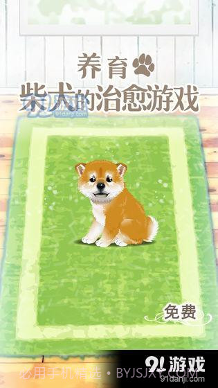 养育柴犬的治愈游戏截图1