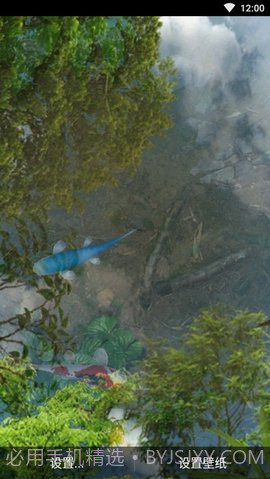 3d鱼池动态壁纸（Koi）截图1