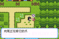 可梦之牧场物语GBA版截图2