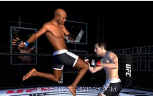 UFC终极格斗冠军2截图3