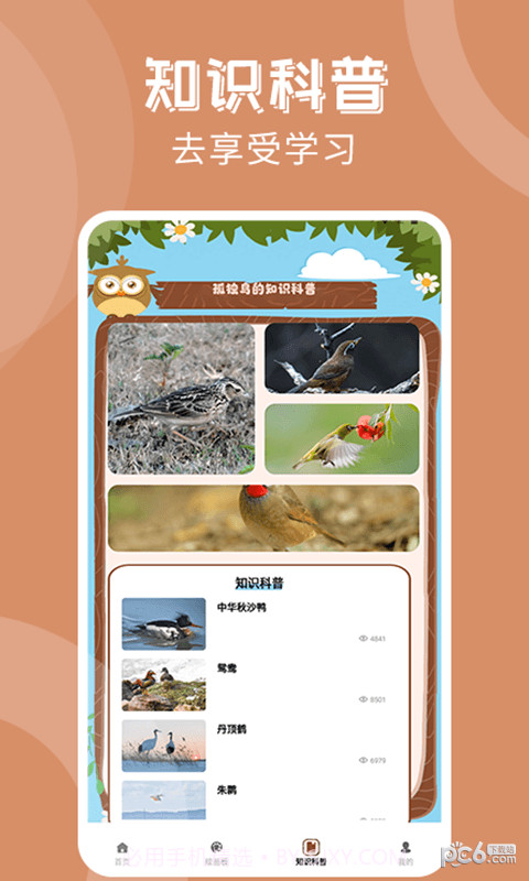 孤独的鸟治愈你截图2