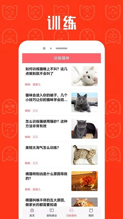 cpcat宠物截图4