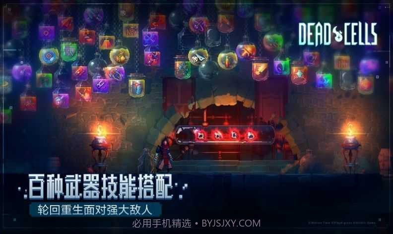 重生细胞2024免费版截图2