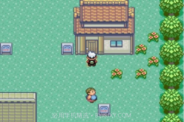 口袋妖怪究极绿宝石3截图1 口袋妖怪究极绿宝石3截图1