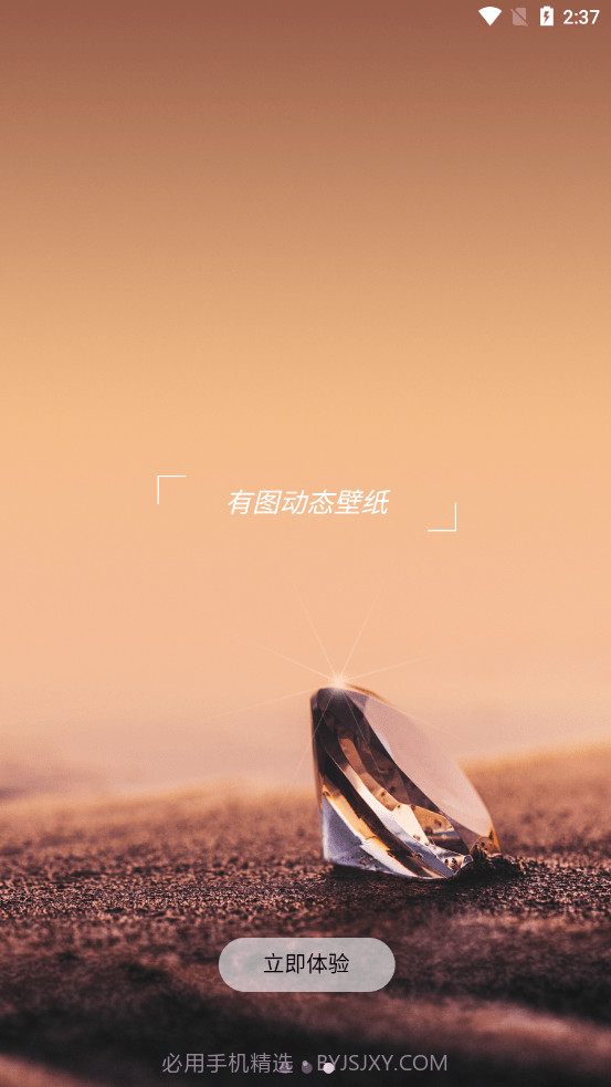 有图动态壁纸截图2