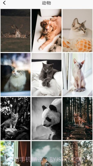 p站搜图截图4 p站搜图截图4