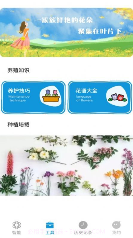 全能拍照识物截图3