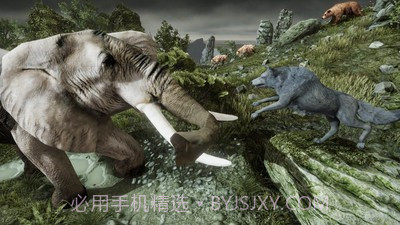 狼生存模拟器截图2 狼生存模拟器截图2