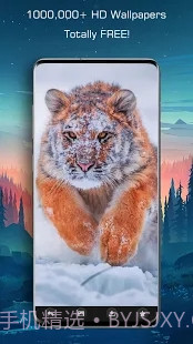 百万高清壁纸截图1 百万高清壁纸截图1