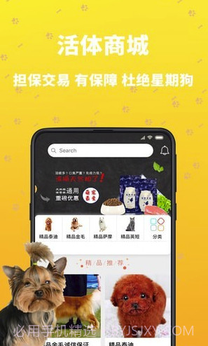 吉宠巴士(吉宠巴士宠物服务)V1.0.9 截图2 吉宠巴士(吉宠巴士宠物服务)V1.0.9 截图2