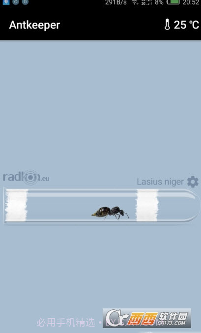 Antkeeper蚂蚁模拟手机版截图4