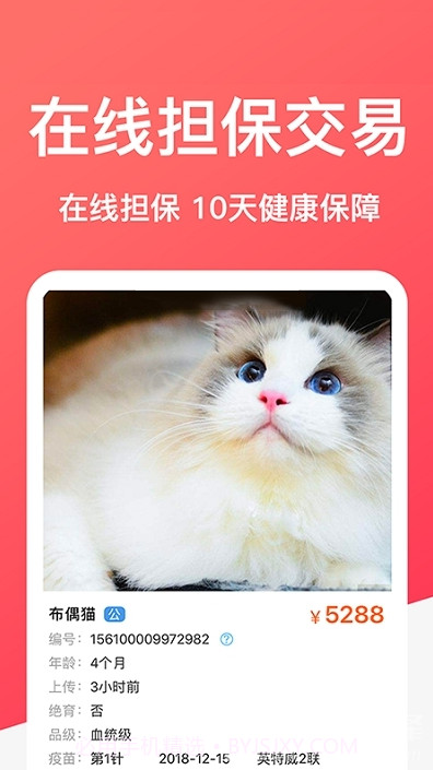 Dog Breeds狗品种(拍照辨识狗狗品种工具)V1.1 安卓手机版截图3 Dog Breeds狗品种(拍照辨识狗狗品种工具)V1.1 安卓手机版截图3