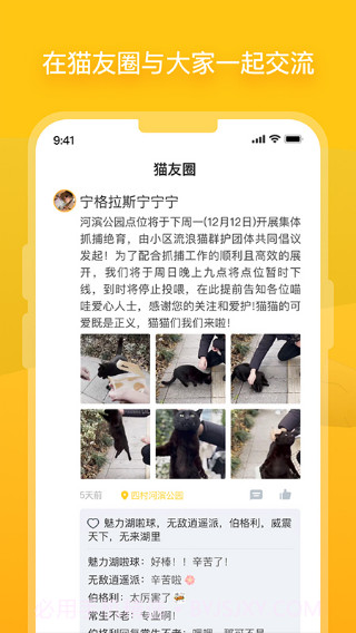 哈啰街猫手机版截图3 哈啰街猫手机版截图3