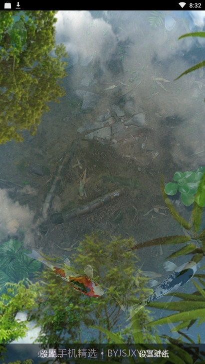 锦鲤鱼池3D动态壁纸（鱼池）截图3